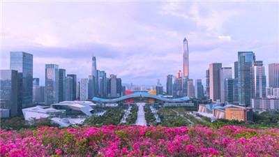 广州品茶上课微信，探索茶道文化之美